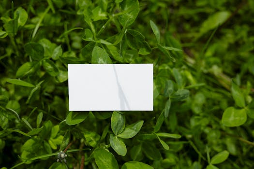Brand Identity Design Examples